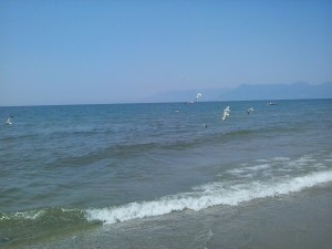 20140719_124138